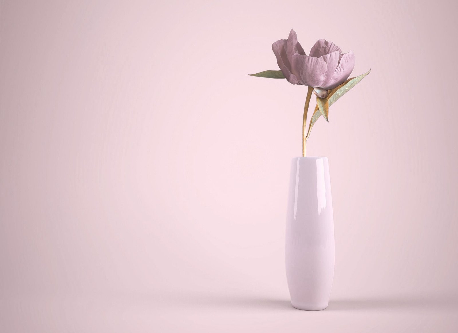 From Inspiration to Action: How I Discovered Affiliate Marketing & Pinterest — and Why I Created AEInspire